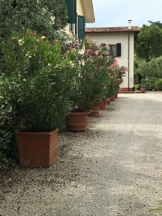 Villa Oliveto 파뎅게술가르다